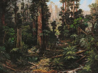 In the Sassafras Valley, Victoria